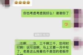 芙蓉如何避免债务纠纷？专业追讨公司教您应对之策